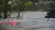 Cars submerged under flood water